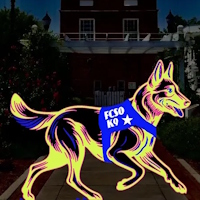 Law Dog Glow Run 5k